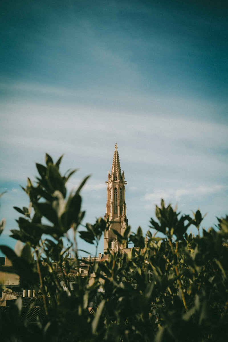 PALMA DE MALLORCA