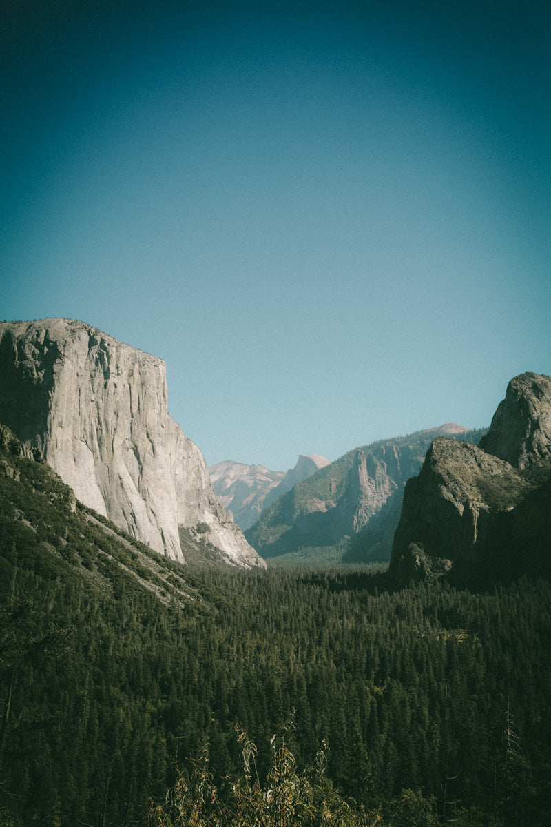 CALIFORNIA