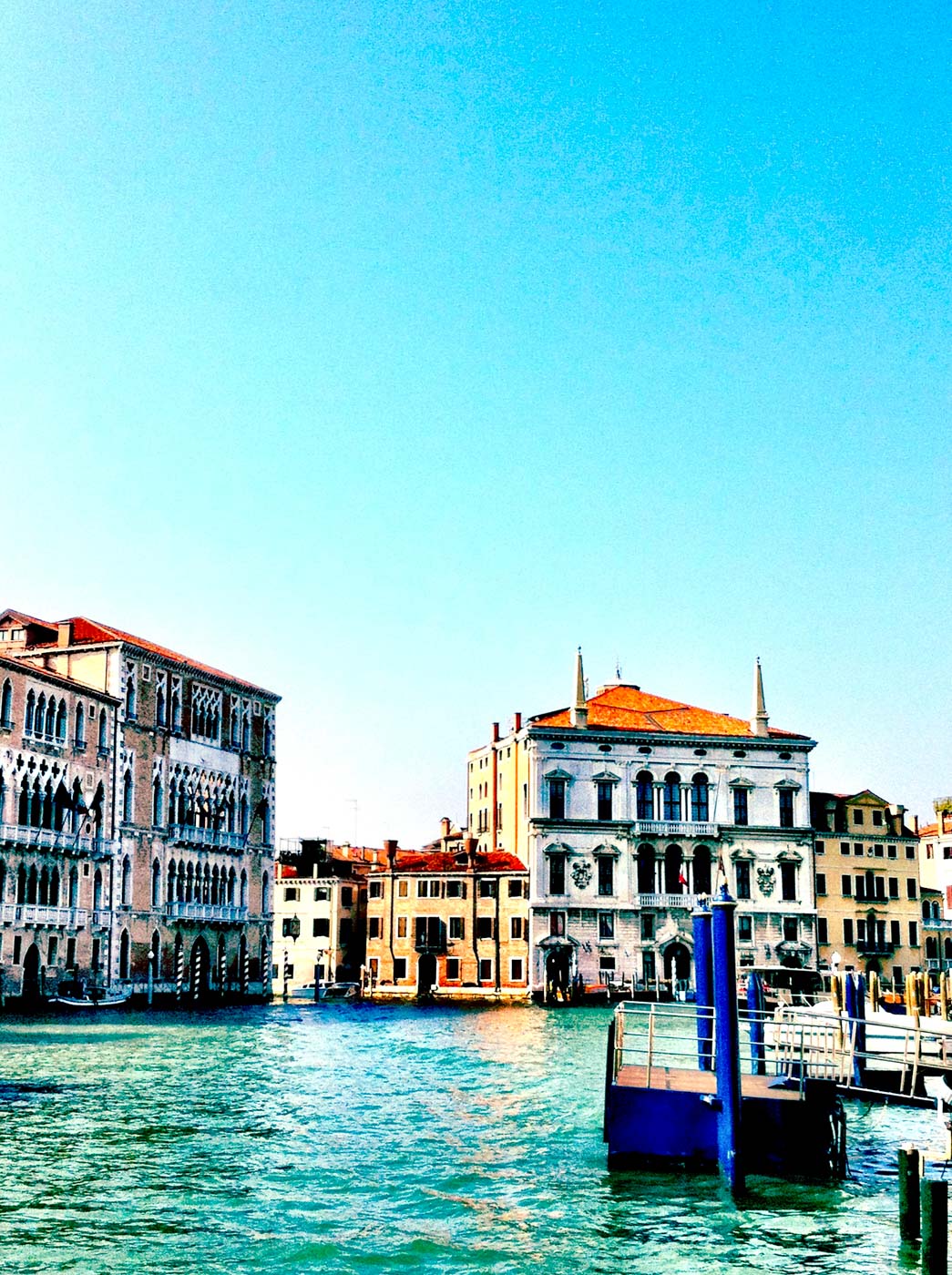 VIVID VENICE