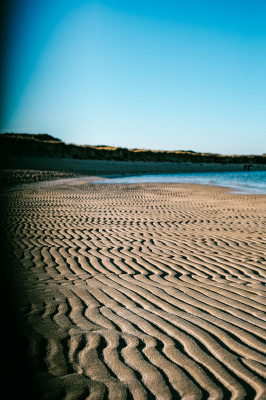 SYLT SEDIMENT MATRIX