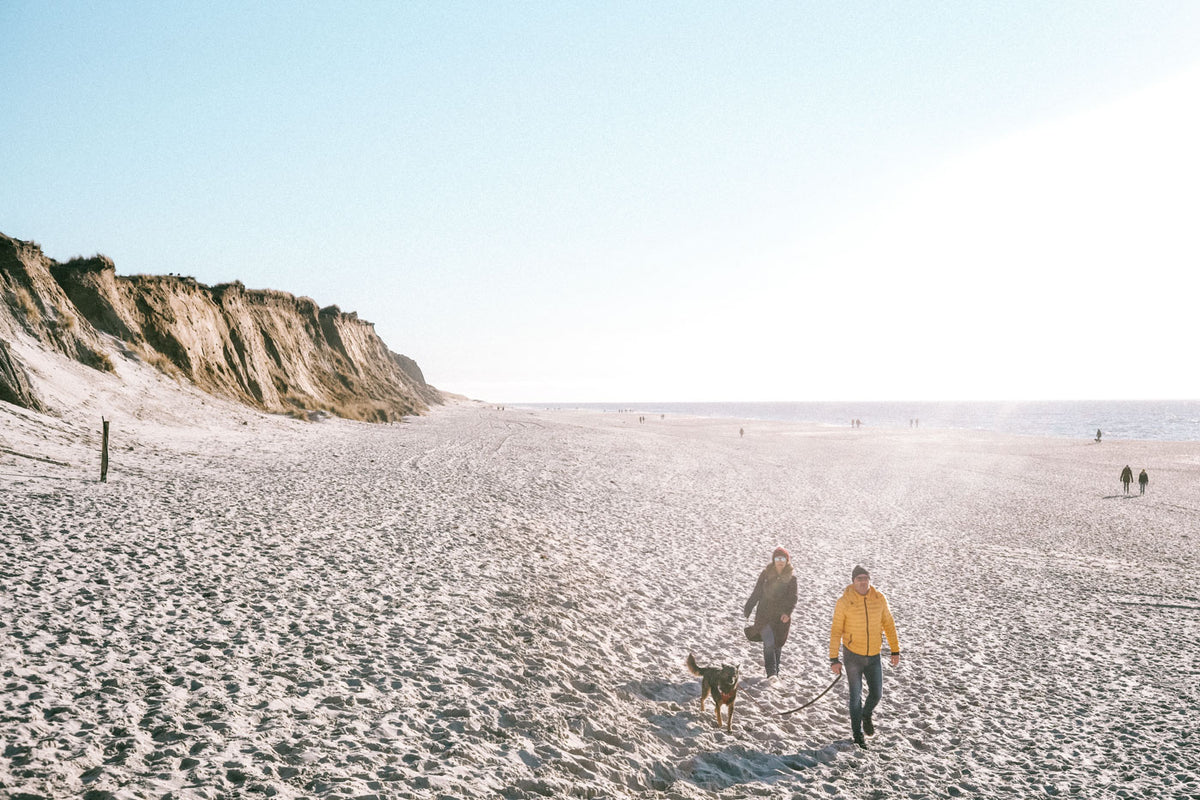 SYLT SEEKERS