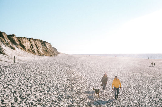 SYLT SEEKERS