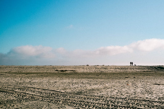 SYLT SILHOUETTES