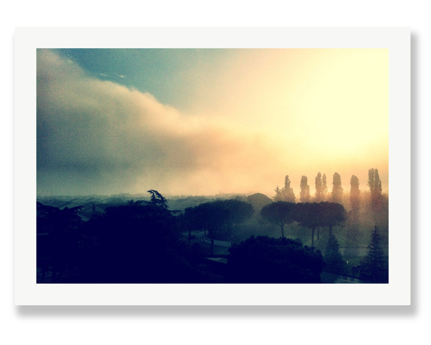 CYPRESS SILENCE