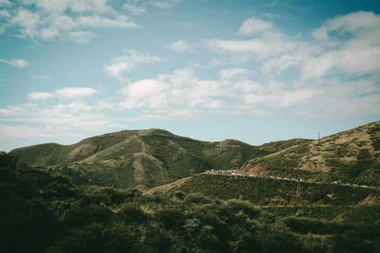 CHASING THE VIEW II