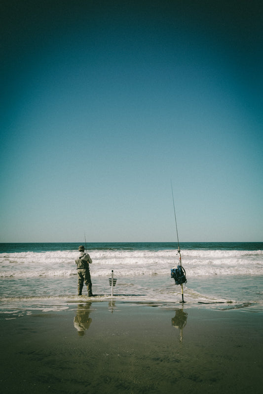 GOLDEN CATCH