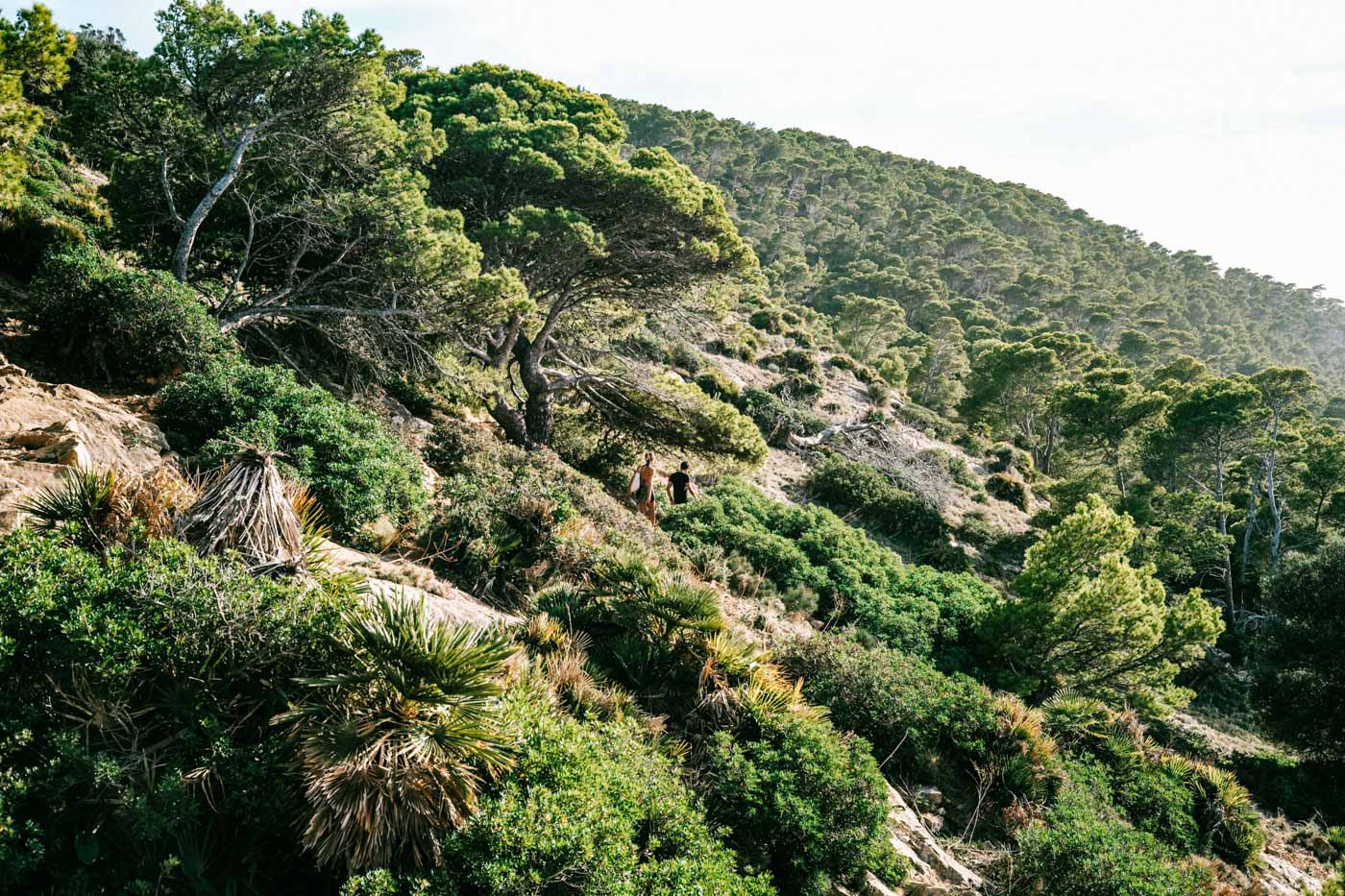 HUMAN X NATURE II