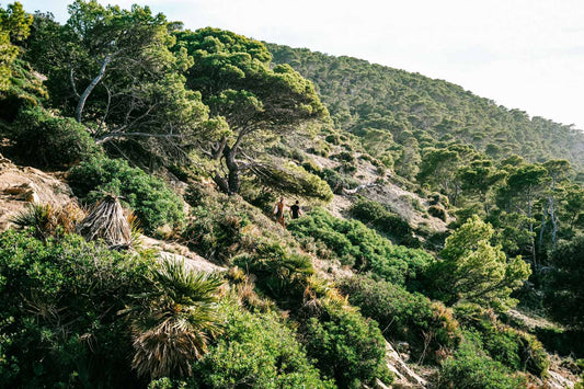 HUMAN X NATURE II