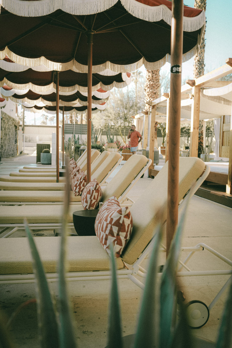 PARASOL SPRINGS