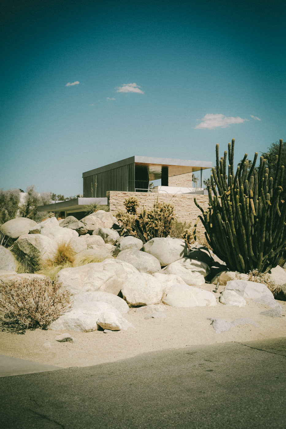 LINEAR LIVING | KAUFMANN HOUSE