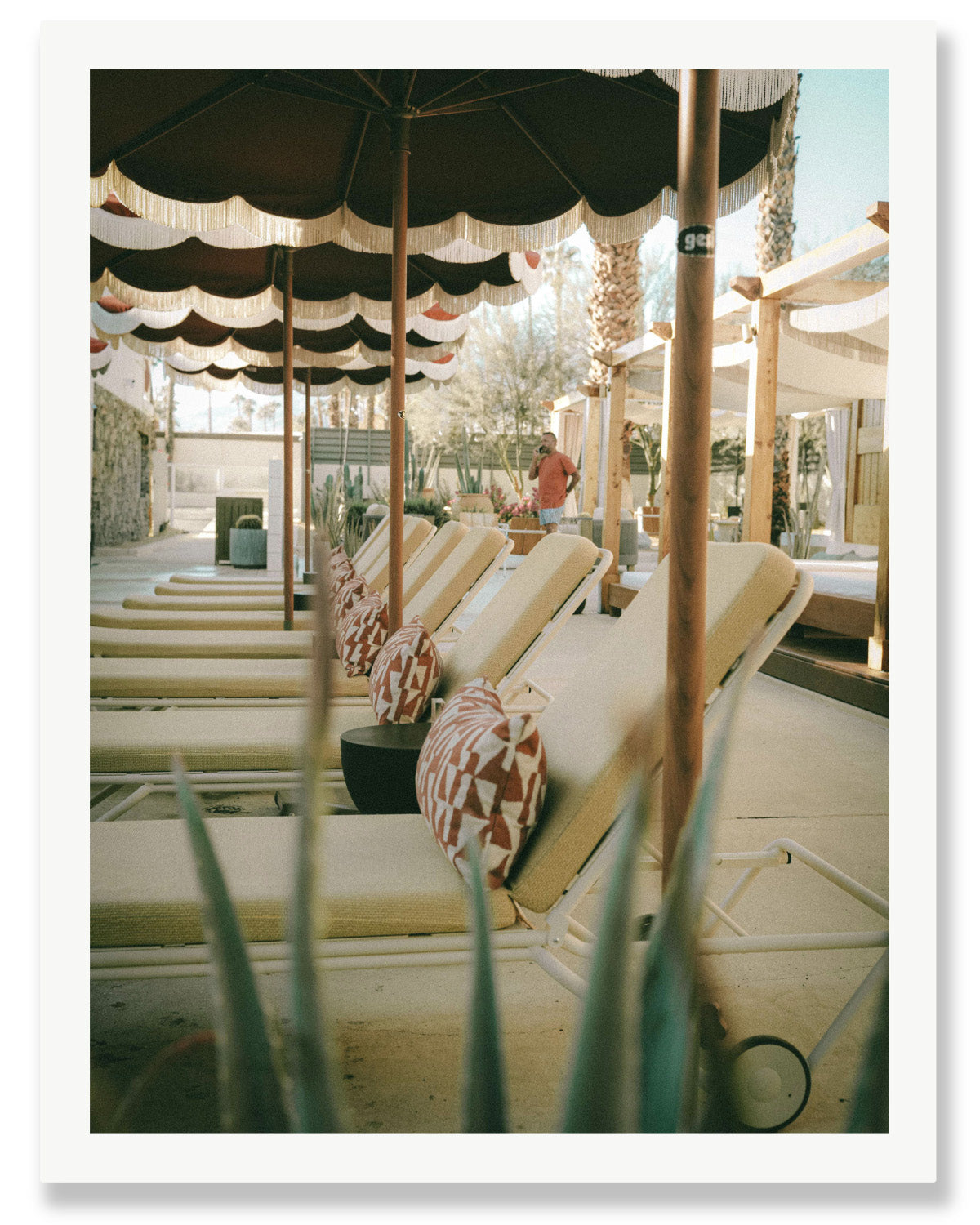 PARASOL SPRINGS