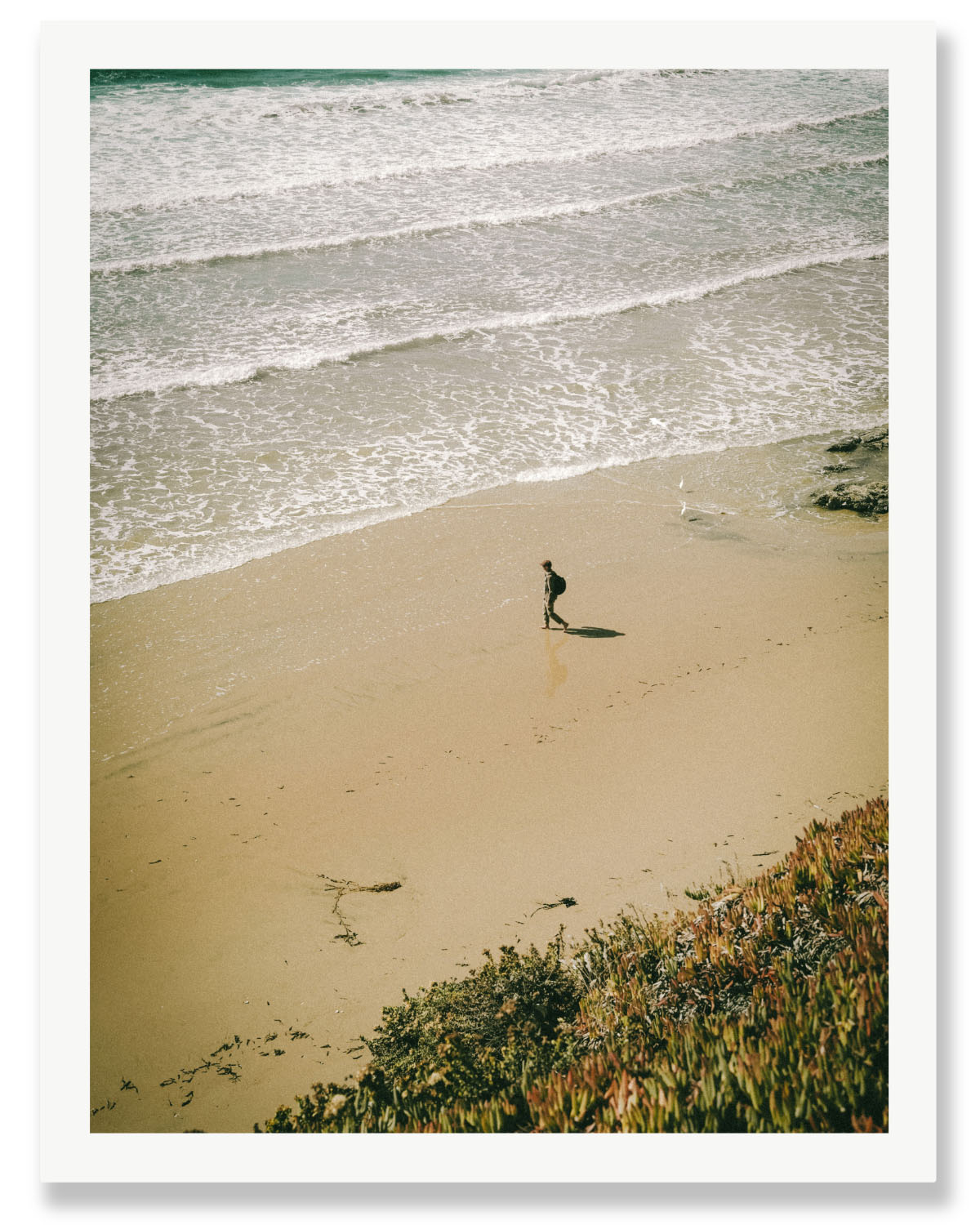 PACIFIC SOLITUDE