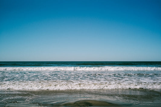 WAVES II LAX